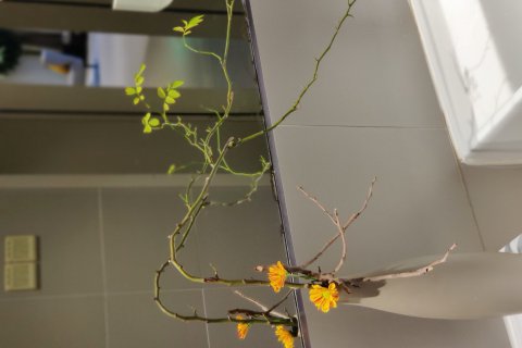 如家商旅酒店(苏州观前街店)