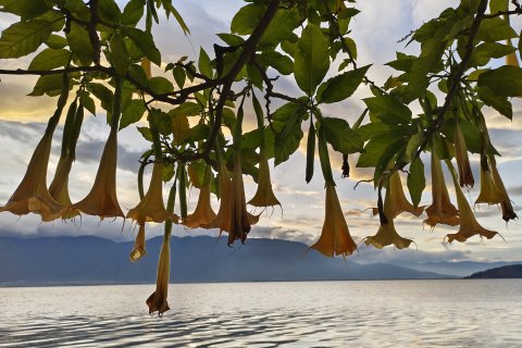 大理双廊碎片·吾乡海景公馆