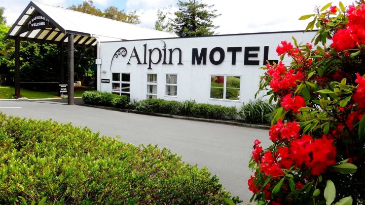 阿尔平汽车旅馆和会议中心(Alpin Motel & Conference Centre)