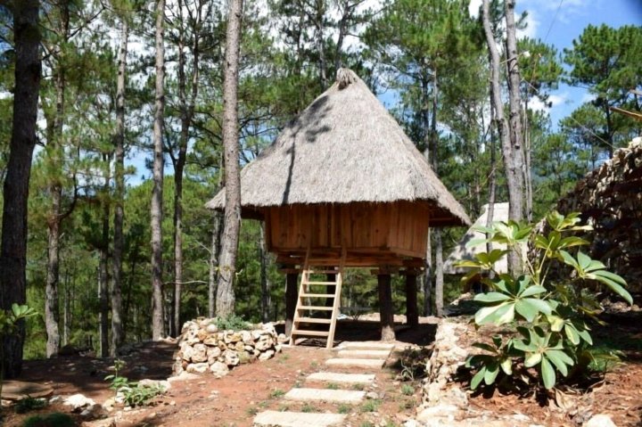 萨加达民俗村山林小屋(Sagada Heritage Village)