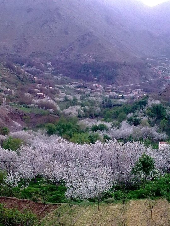 达尔迪霍拉酒店(Dar Tighoula)