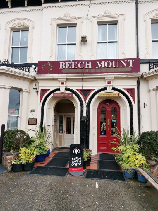 山毛榉山脉行政住宿旅馆(Beech Mount Hotel)