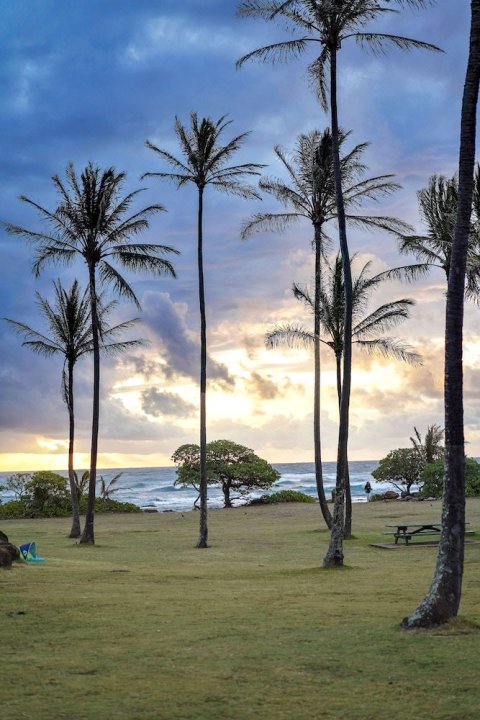 夏威夷可爱岛怀卢阿湾希尔顿花园酒店(Hilton Garden Inn Kauai Wailua Bay, HI)