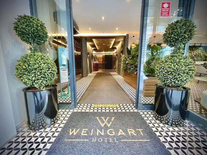 伊斯坦布尔温加特酒店(Weingart Istanbul Hotel)