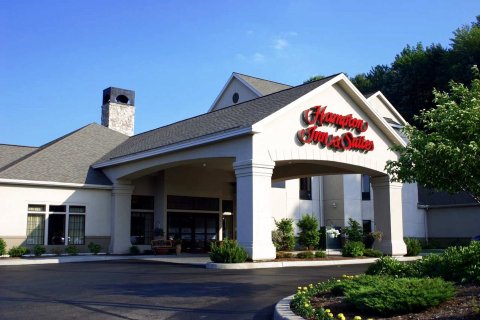 宾厄姆顿/维斯塔欢朋套房酒店(Hampton Inn & Suites Binghamton/Vestal)