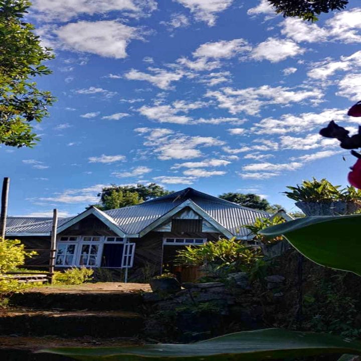 神秘花园酒店(Mystery Garden)