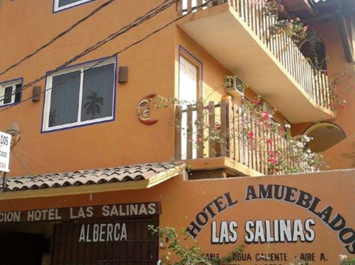 萨利纳斯酒店(Hotel Las Salinas)