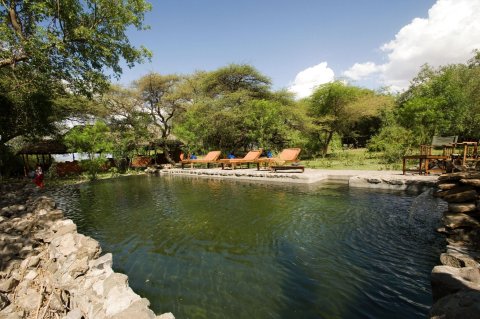 内特顿湖帐篷营地酒店(Lake Natron Tented Camp)