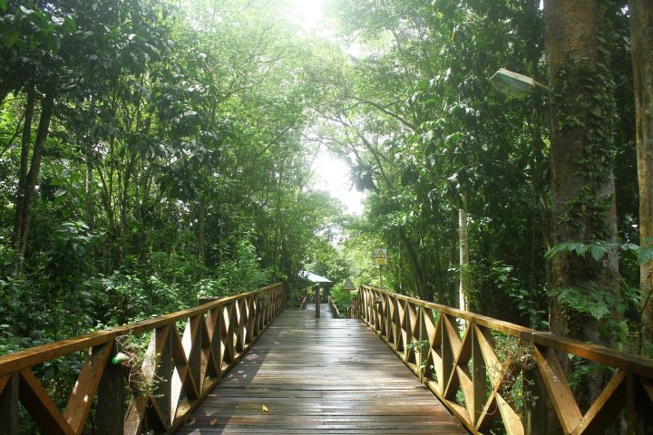 婆罗自然旅舍(Borneo Nature Lodge)