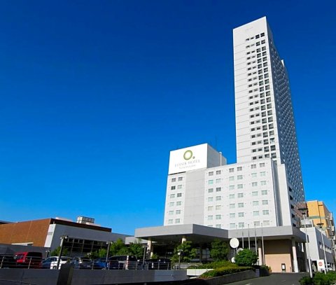 丰桥罗伊萨酒店(Loisir Hotel Toyohashi)