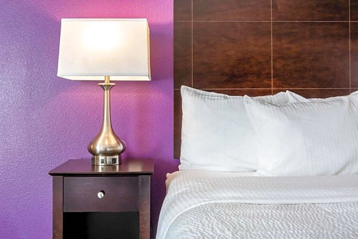 休斯顿 - 马格诺里亚温德姆拉昆塔套房酒店(La Quinta Inn & Suites by Wyndham Houston - Magnolia)