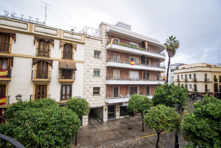 珀蒂宫卡纳莱哈斯塞维​​利亚酒店(Petit Palace Canalejas Sevilla)