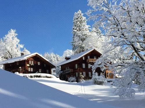 亚历山大托蒂布里克酒店(Hotel Tödiblick)