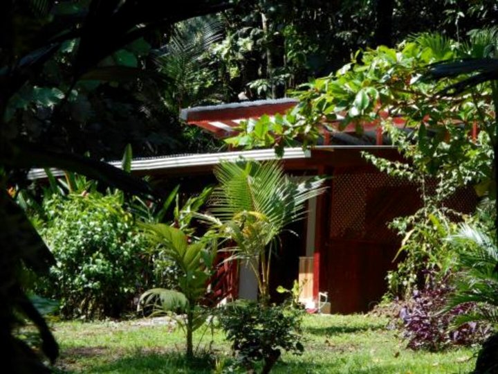 Finca Ardilla Jungle Lodge