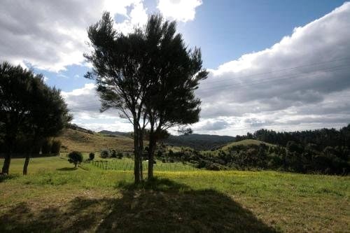 帕罗阿湾木屋(Paroa Bay Chalets - Te Whare Kiwi)