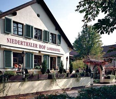 尼德萨勒霍夫兰德酒店(Landhotel Niederthäler Hof)