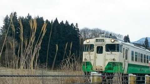 清流河内旅馆(Seiryu no Yado Kawachi)