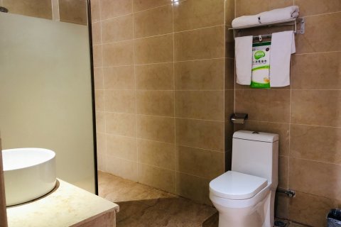 明月湖酒店(平果人民医院店)