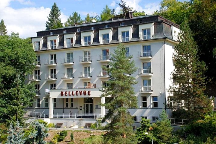 贝尔维酒店(Hotel Bellevue)