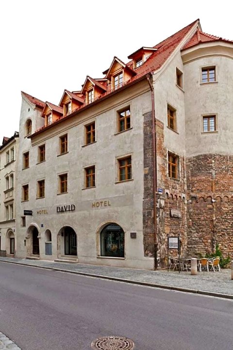 多瑙河戴维酒店(Hotel David an der Donau)