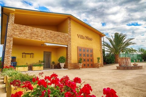 Villa Nino