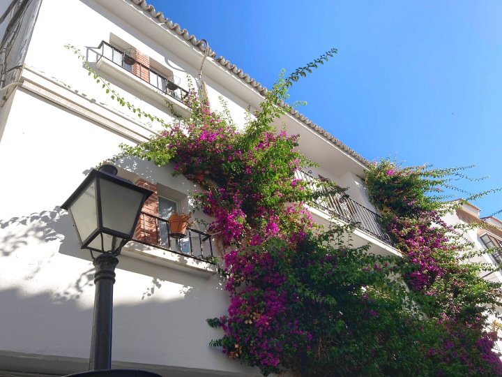 马贝拉帕科青年旅舍(Hostal Paco Marbella)