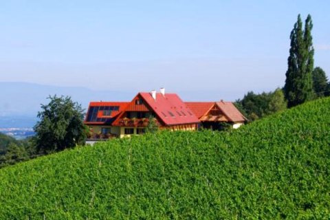 Weingut Winzerzimmer Rothschädl