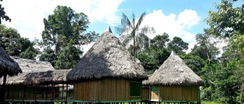 库马瑟巴亚马逊旅馆(Cumaceba Amazon Lodge)