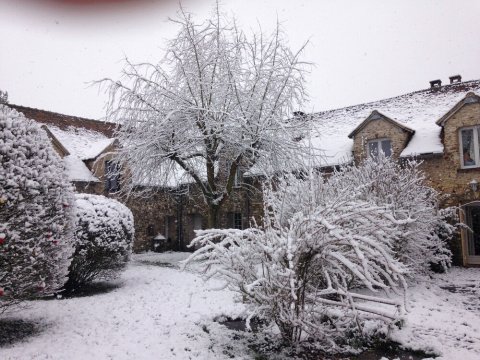 达讷马里磨坊度假屋(Le Moulin de Dannemarie)