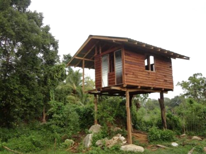 锡吉里森林景观度假村(Sigiri Forest View)