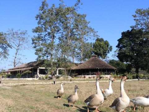 萨朗野生动物保护区酒店(Sarang Wildlife Sanctuary)