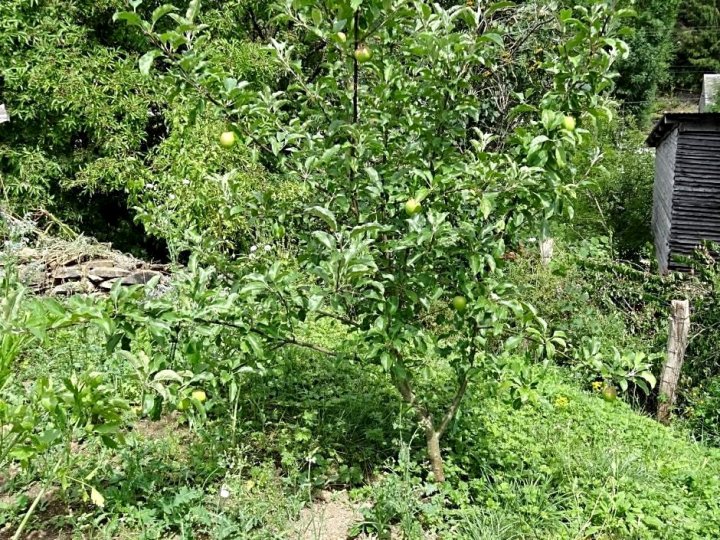 La Fermette Blanche