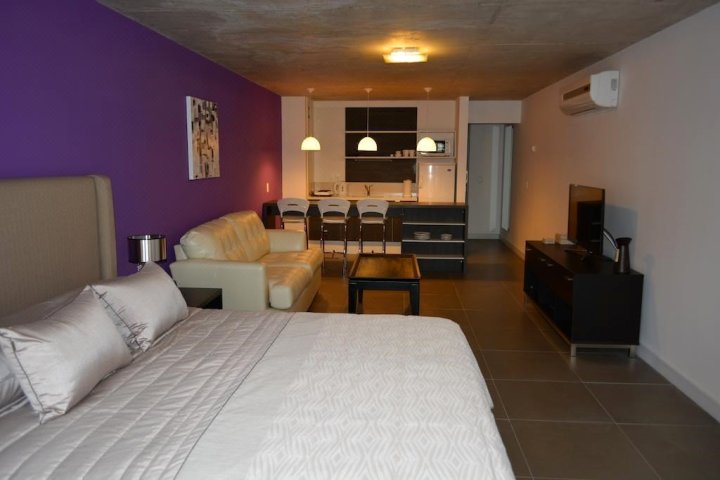 蒙得维的亚公寓式酒店(Urban Suites Montevideo)