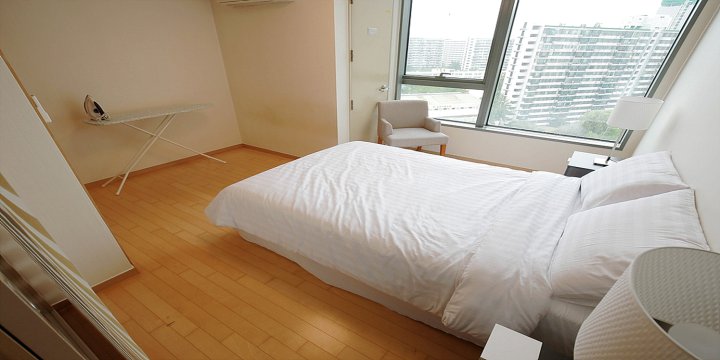 Lotte Galleria Palace Apartment 5Min Walk Seoul