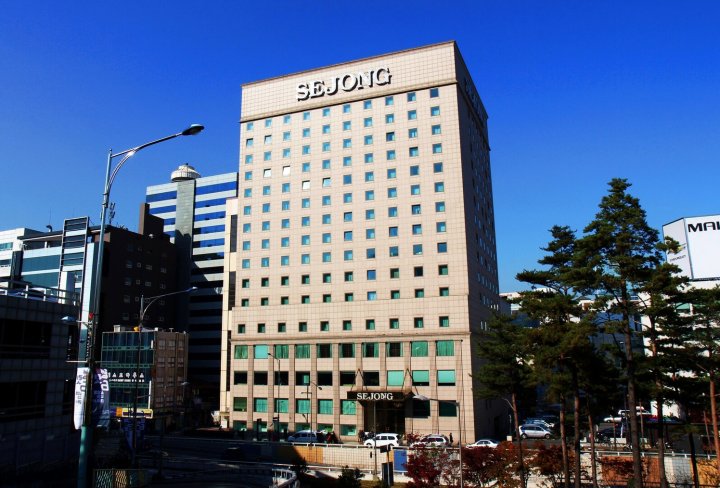 首尔明洞世宗酒店(Sejong Hotel Seoul Myeongdong)