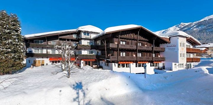 泽费尔德百乐酒店(Parkhotel Seefeld)