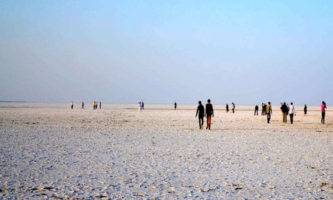 White Rann Camp Rann of Kutch