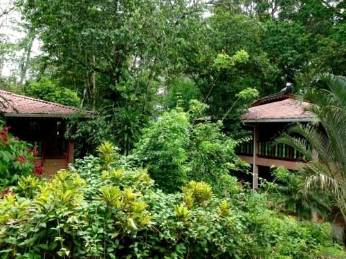 The Goddess Garden Eco-Resort