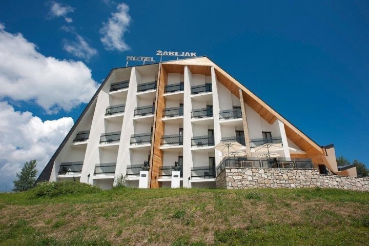 阿伯尔亚科酒店(Hotel Žabljak)