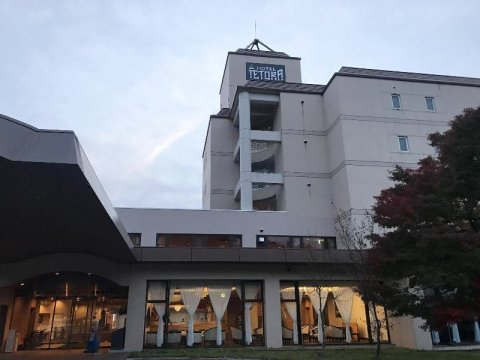 秋田横手温泉酒店特托拉度假村(Hotel Tetora Resort Yokote Onsen)