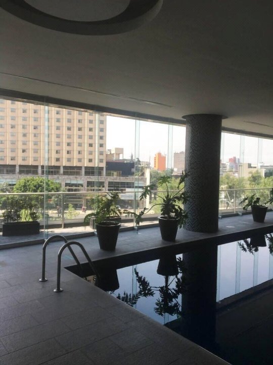 改革大道舒适公寓酒店(Cozy Apartment in Reforma Avenue)