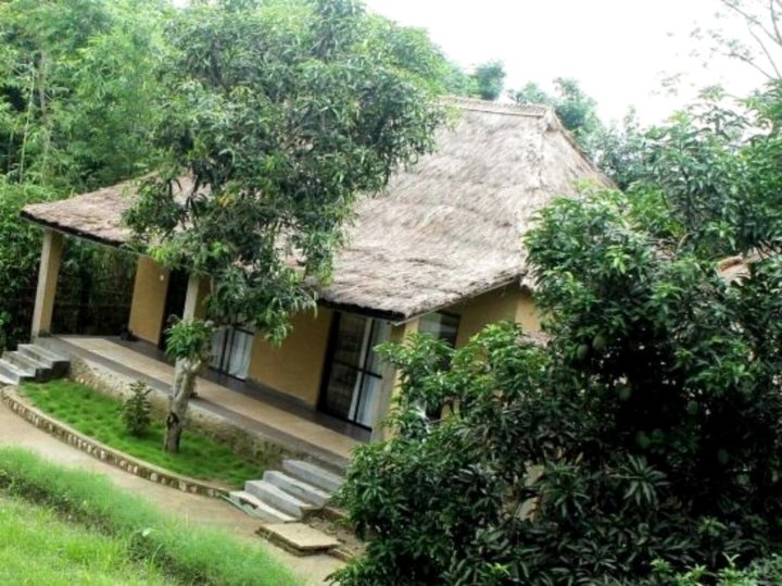 走进自然生态度假村(Into the Wild Eco Resort)