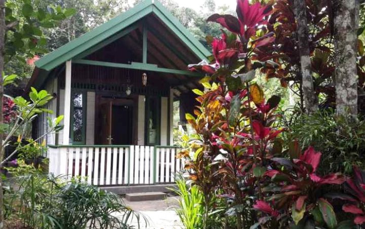 Mi Casa Ijen Guest House