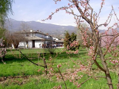 伊尔弗鲁托佩美索农家乐(Agriturismo Il Frutto Permesso)