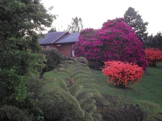 Cabañas Parque Del Lago