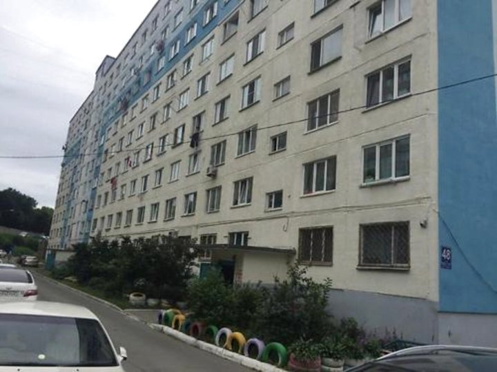 奈克拉索夫斯卡娅48号公寓(Apartment Nekrasovskaya 48)