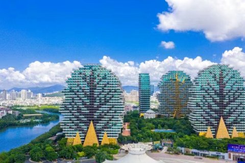 大树度假酒店(三亚美丽之冠店)