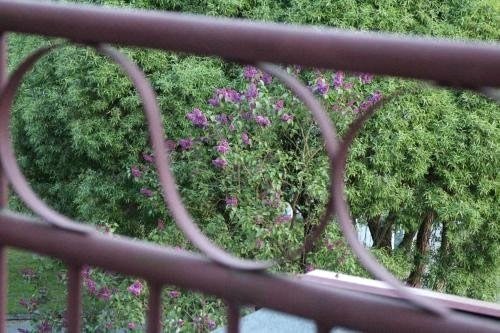 苏卡别墅(Villa Sukka)