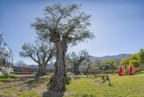 纳兰霍斯农村公寓青年旅舍(Hostal y Apartamento Rural Los Naranjos)