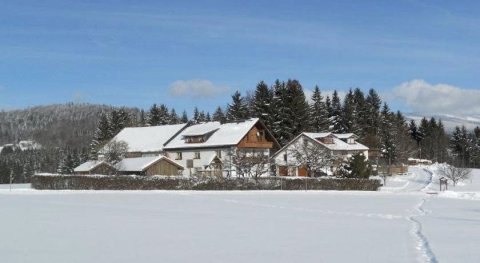 Der Bauernhof Beim Bergler